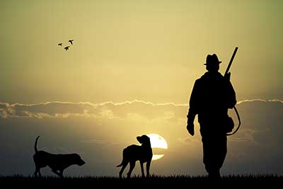 La cetrería y la caza con perros, en peligro si sale adelante la Ley animalista de Podemos